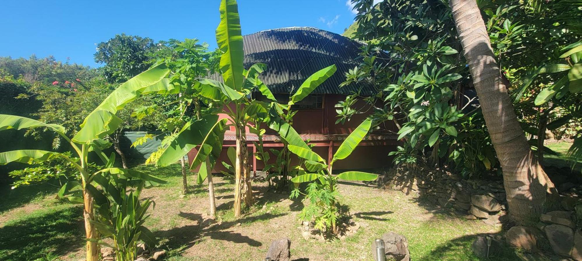 Location " La Pirogue " Maison D'Hotes A Moorea Haapiti Esterno foto